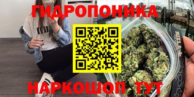 spice Усть-Джегута
