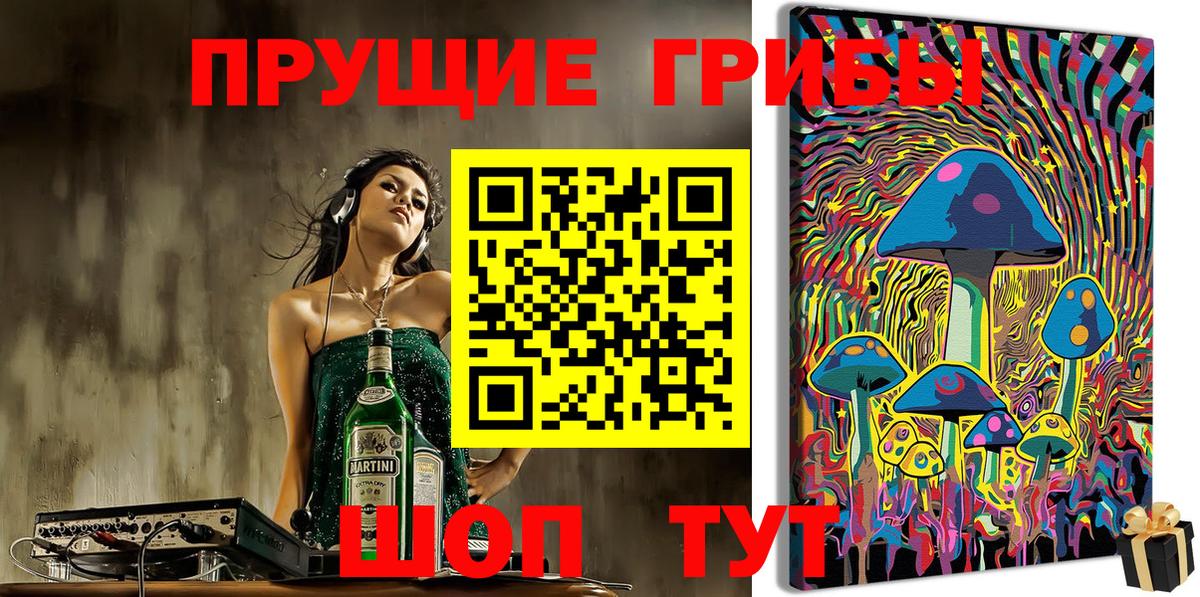 Бор  Галлюциногенные грибы GOLDEN TEACHER  купить закладку  Вход с VPN  Псилоцибиновые грибы Psilocybe 